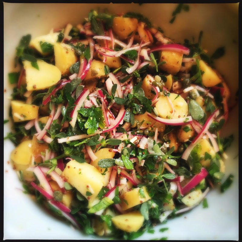 Recipe Potato Purslane Salad