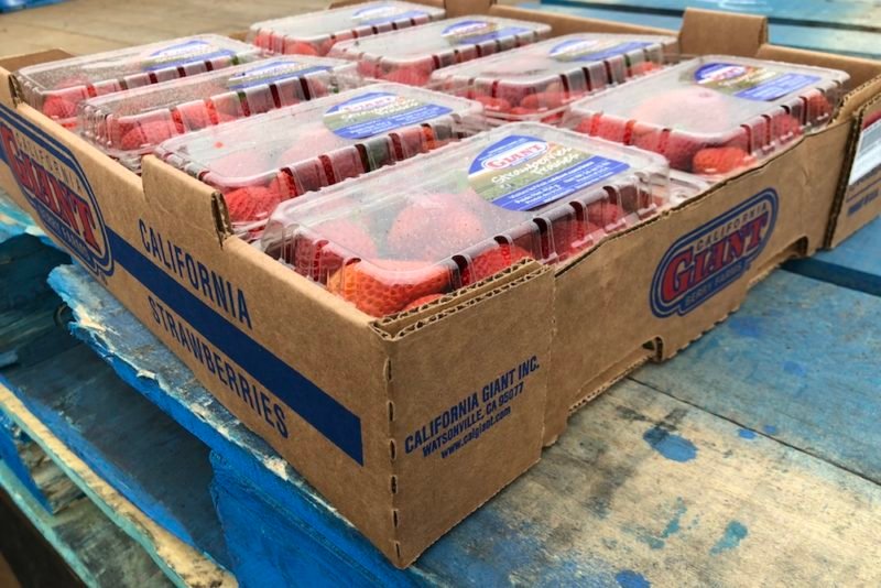Myths & Facts About Farming: Photo of shallow cardboard boxes containing plastic clamshell containers of just-picked berries on a worn blue pallet.