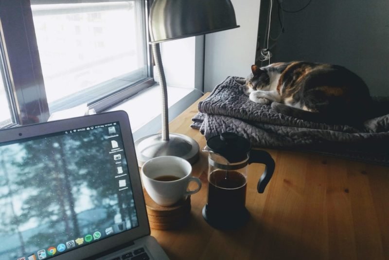Morning rituals can be a good way to start the day, as in this photo of a desk next to a window, with a sleeping cat on a folded blanket, a half-full French press with a half-full cup of coffee, and an open laptop.