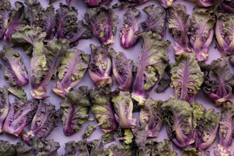 Flat lay photo of several dozen green-and-purple kale heads. As people eat more plant-based during the pandemic, they might be eating more kale.